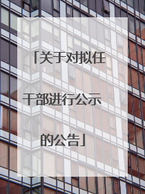 关于对拟任干部进行公示的公告