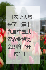 农博大餐来了！第十九届中国武汉农业博览会即将“开席”