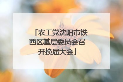 农工党沈阳市铁西区基层委员会召开换届大会