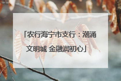 农行海宁市支行：潮涌文明城 金融润初心