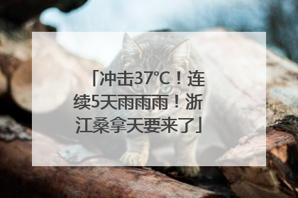 冲击37℃！连续5天雨雨雨！浙江桑拿天要来了