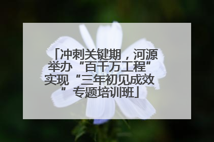 冲刺关键期，河源举办“百千万工程”实现“三年初见成效”专题培训班