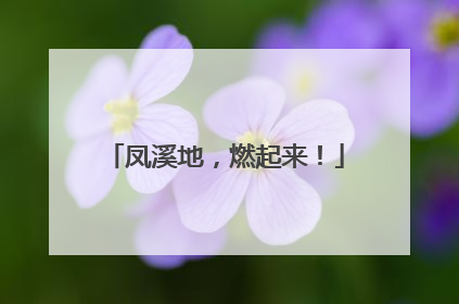 凤溪地，燃起来！