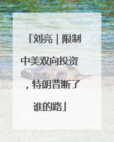 刘亮｜限制中美双向投资，特朗普断了谁的路