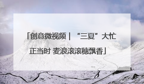 创意微视频｜“三夏”大忙正当时 麦浪滚滚穗飘香