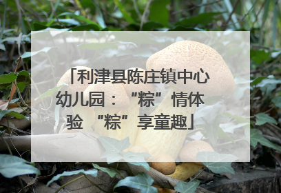 利津县陈庄镇中心幼儿园：“粽”情体验 “粽”享童趣