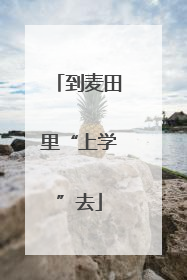 到麦田里“上学”去