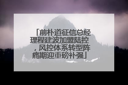 前朴道征信总经理程建波加盟陆控，风控体系转型阵痛期迎重磅补强