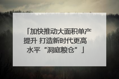 加快推动大面积单产提升 打造新时代更高水平“洞庭粮仓”