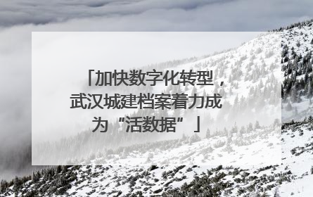 加快数字化转型，武汉城建档案着力成为“活数据”