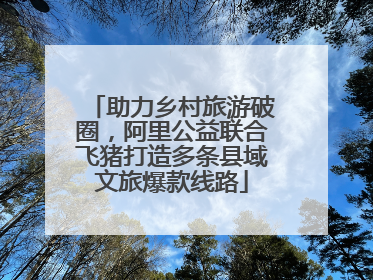 助力乡村旅游破圈，阿里公益联合飞猪打造多条县域文旅爆款线路