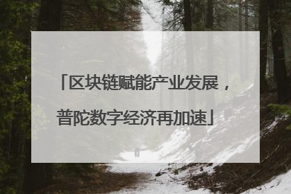 区块链赋能产业发展，普陀数字经济再加速