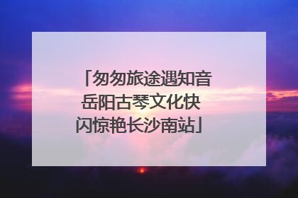 匆匆旅途遇知音 岳阳古琴文化快闪惊艳长沙南站