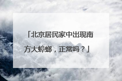 北京居民家中出现南方大蟑螂，正常吗？