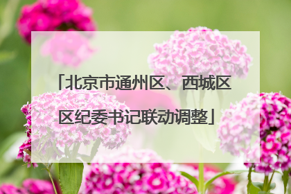 北京市通州区、西城区区纪委书记联动调整