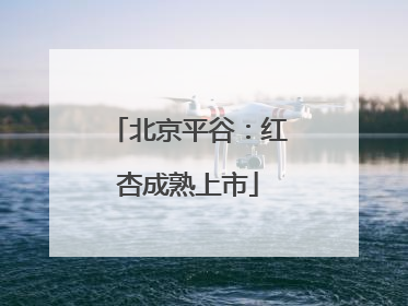 北京平谷：红杏成熟上市