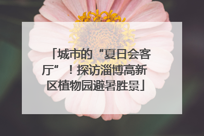 城市的“夏日会客厅”！探访淄博高新区植物园避暑胜景