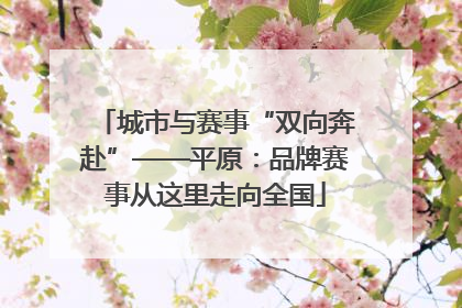 城市与赛事“双向奔赴”——平原：品牌赛事从这里走向全国