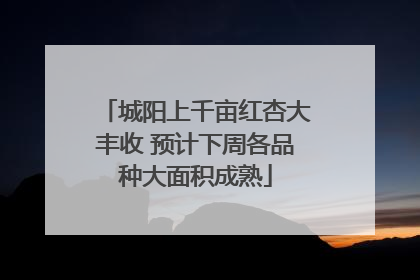 城阳上千亩红杏大丰收 预计下周各品种大面积成熟