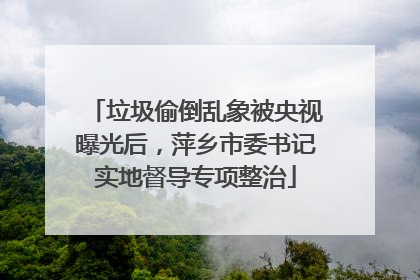 垃圾偷倒乱象被央视曝光后，萍乡市委书记实地督导专项整治