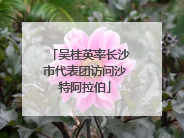 吴桂英率长沙市代表团访问沙特阿拉伯