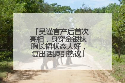 吴谨言产后首次亮相，身穿金银抹胸长裙状态大好，复出话题引热议