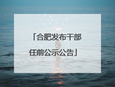合肥发布干部任前公示公告