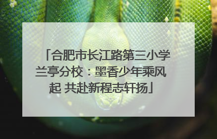 合肥市长江路第三小学兰亭分校：墨香少年乘风起 共赴新程志轩扬