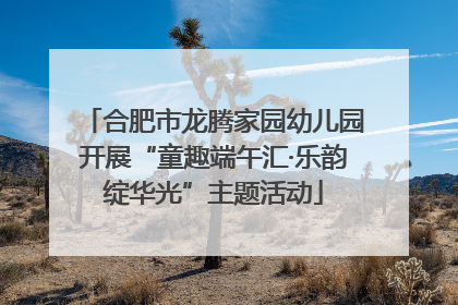 合肥市龙腾家园幼儿园开展“童趣端午汇·乐韵绽华光”主题活动