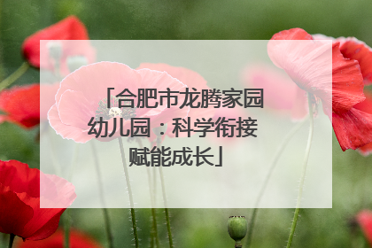 合肥市龙腾家园幼儿园：科学衔接 赋能成长