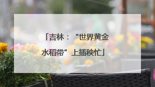 吉林：“世界黄金水稻带”上插秧忙
