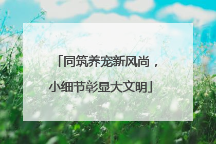 同筑养宠新风尚，小细节彰显大文明