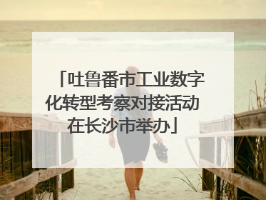 吐鲁番市工业数字化转型考察对接活动在长沙市举办