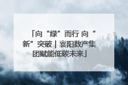向“绿”而行 向“新”突破｜襄阳数产集团赋能低碳未来