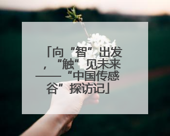 向“智”出发，“触”见未来——“中国传感谷”探访记