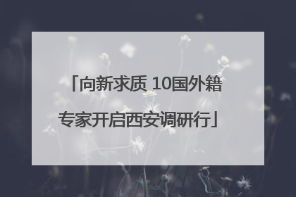 向新求质 10国外籍专家开启西安调研行
