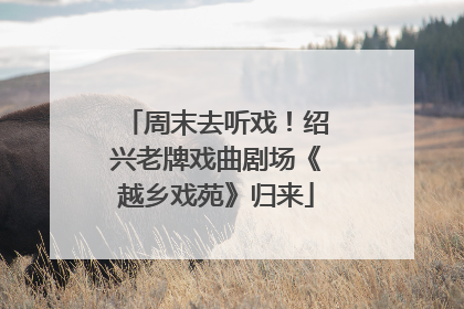 周末去听戏！绍兴老牌戏曲剧场《越乡戏苑》归来