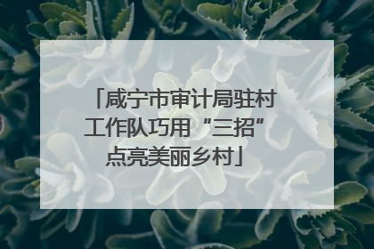 咸宁市审计局驻村工作队巧用“三招”点亮美丽乡村