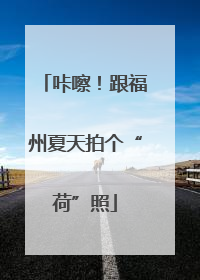 咔嚓！跟福州夏天拍个“荷”照