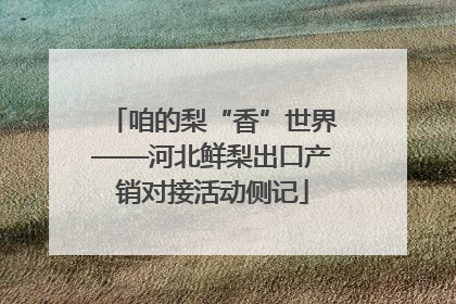 咱的梨“香”世界——河北鲜梨出口产销对接活动侧记