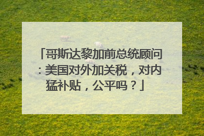 哥斯达黎加前总统顾问：美国对外加关税，对内猛补贴，公平吗？