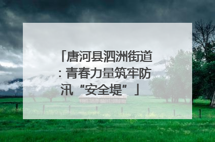 唐河县泗洲街道：青春力量筑牢防汛“安全堤”