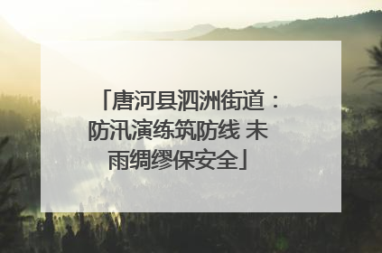 唐河县泗洲街道：防汛演练筑防线 未雨绸缪保安全