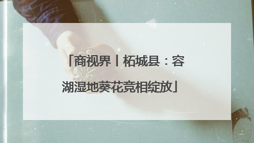 商视界丨柘城县：容湖湿地葵花竞相绽放