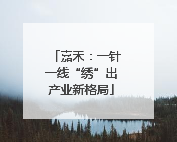 嘉禾：一针一线“绣”出产业新格局