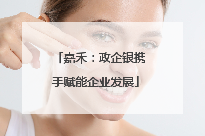 嘉禾：政企银携手赋能企业发展