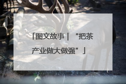 图文故事｜“把茶产业做大做强”