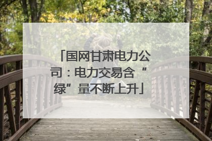 国网甘肃电力公司：电力交易含“绿”量不断上升