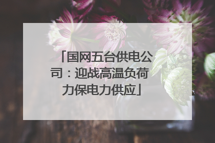 国网五台供电公司：迎战高温负荷 力保电力供应