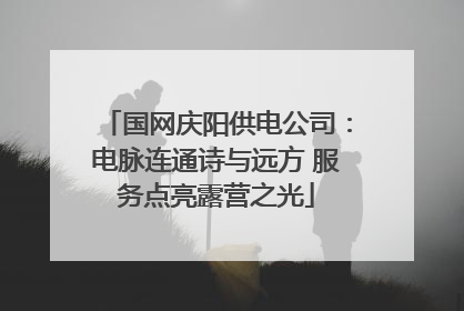 国网庆阳供电公司：电脉连通诗与远方 服务点亮露营之光